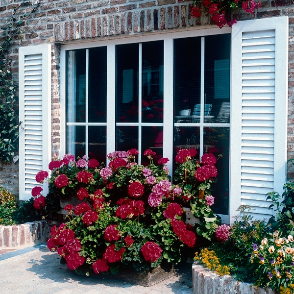 Contraventanas